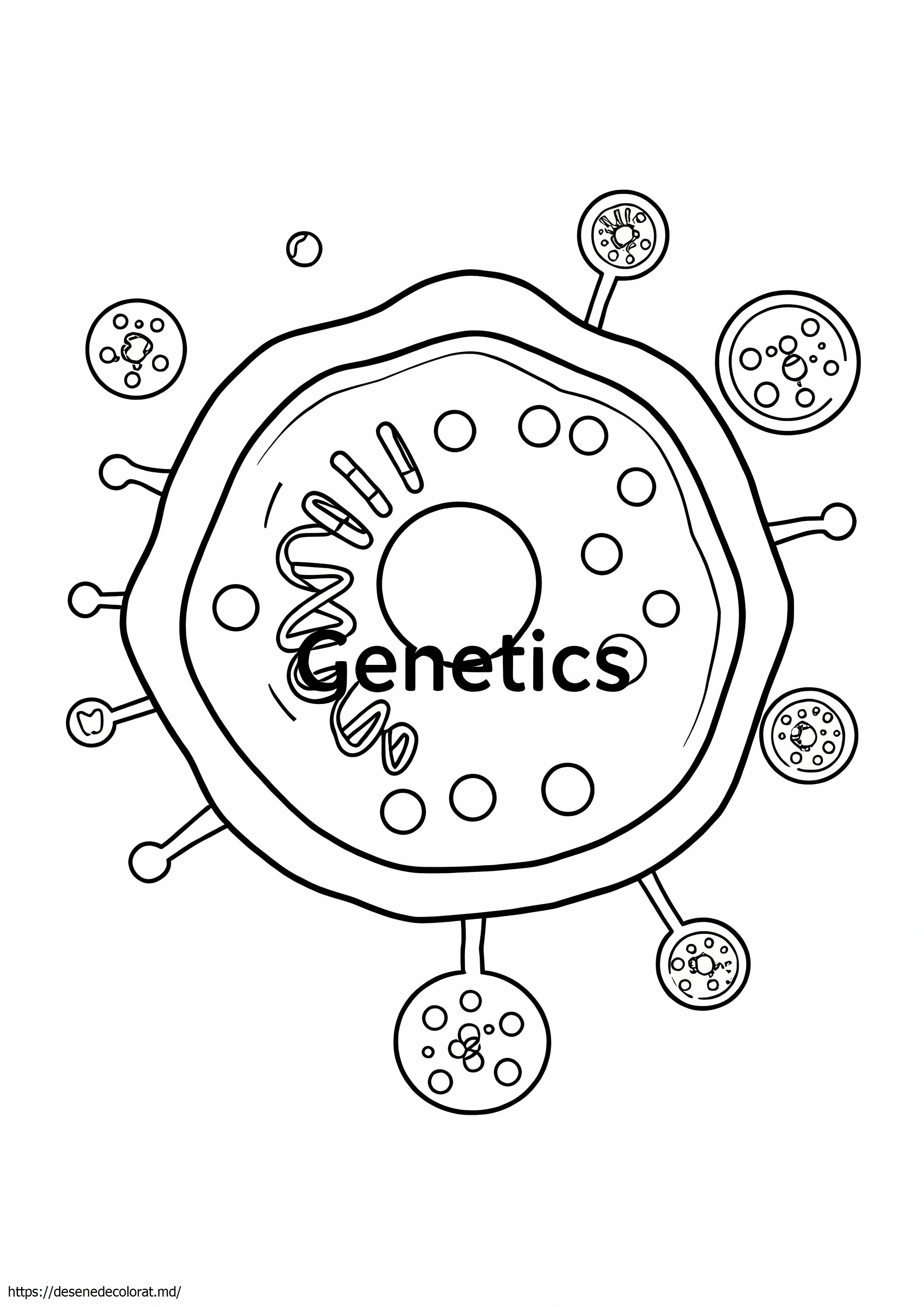 Genetica