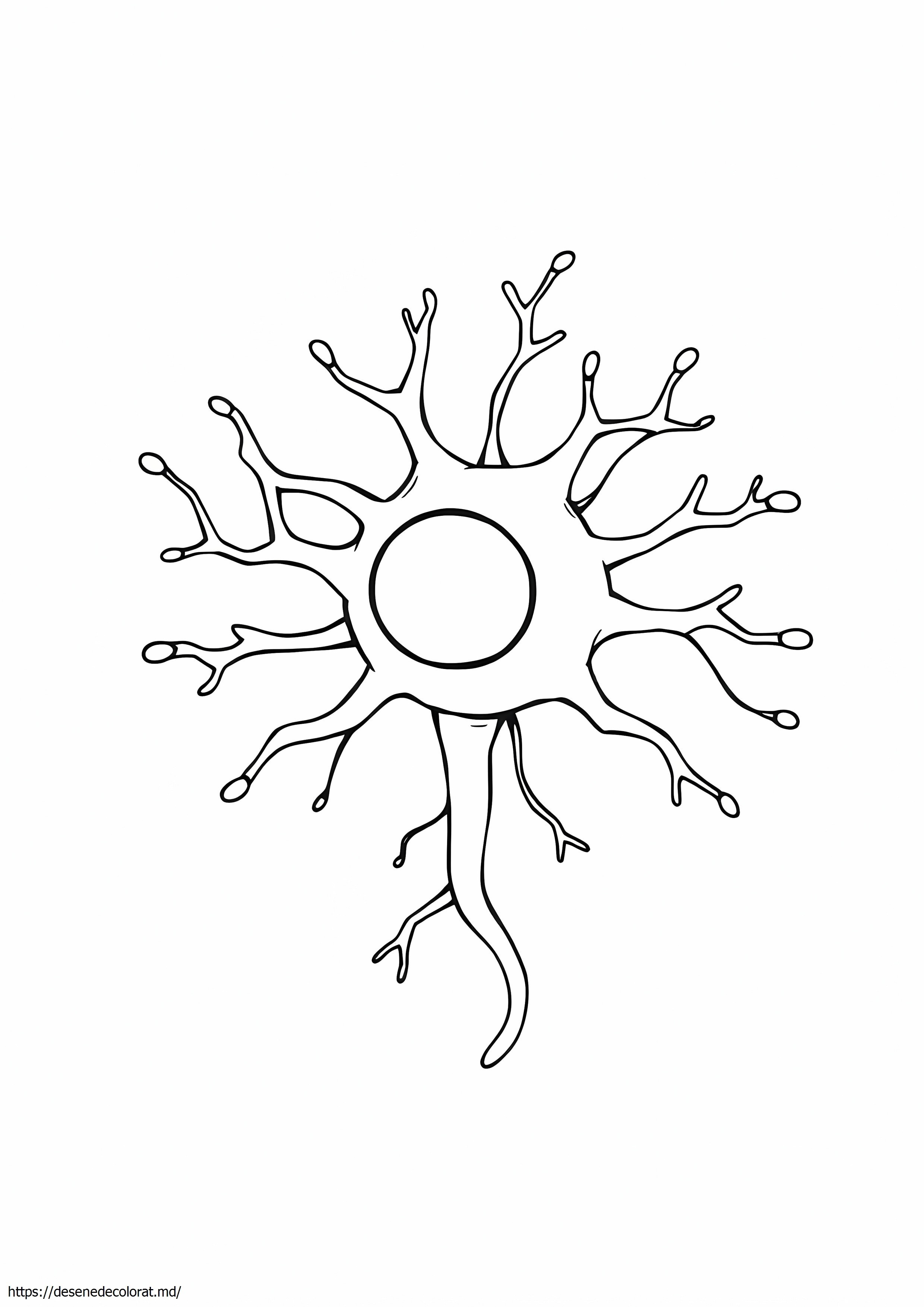 Neuron