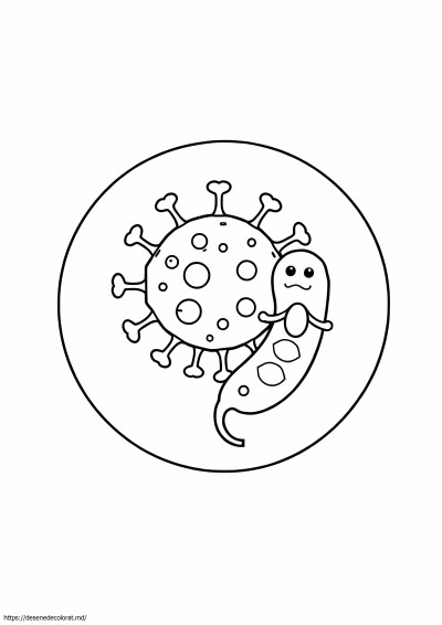 Virus si bacterii
