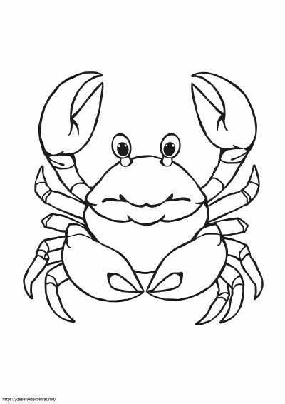 Crab rege