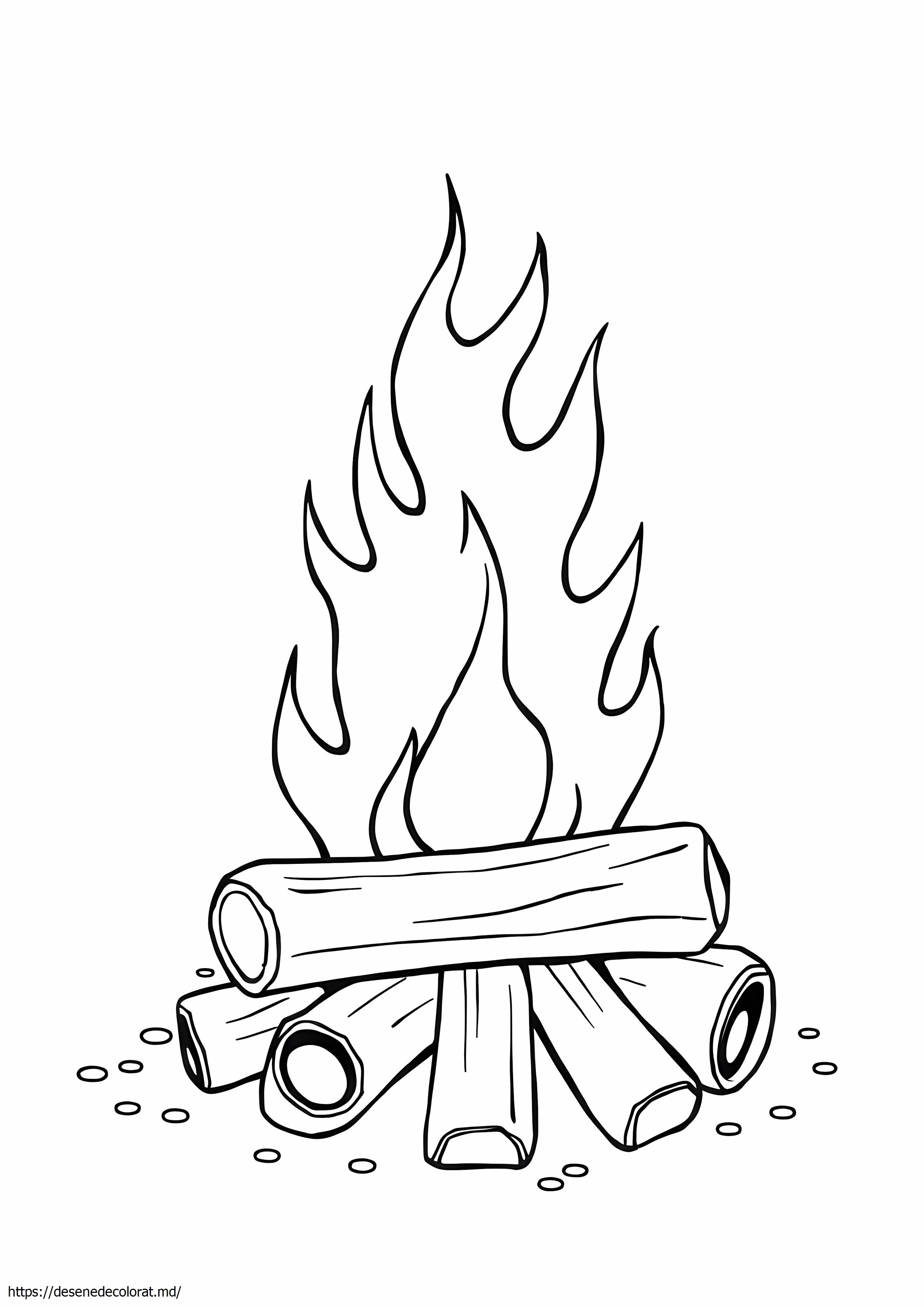 Foc