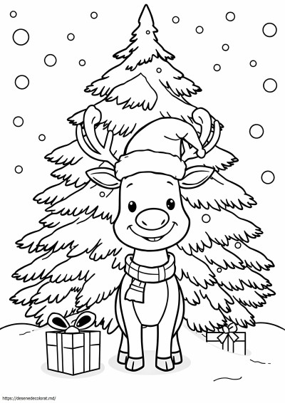 Drăguț decembrie