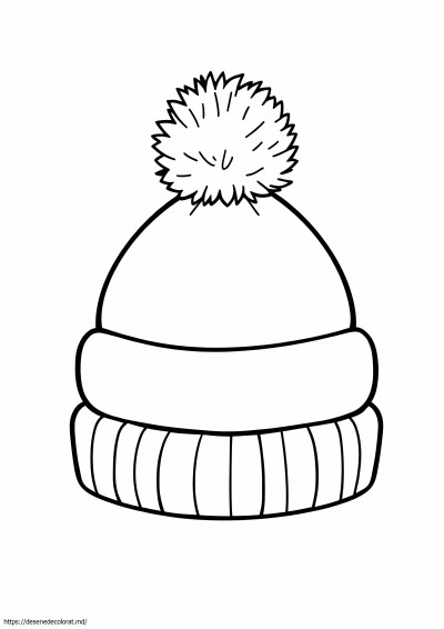 Pălărie de iarnă
