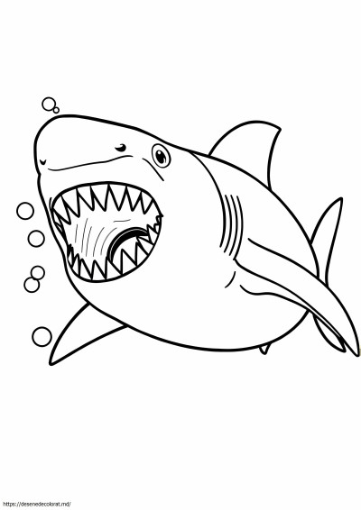 Meg