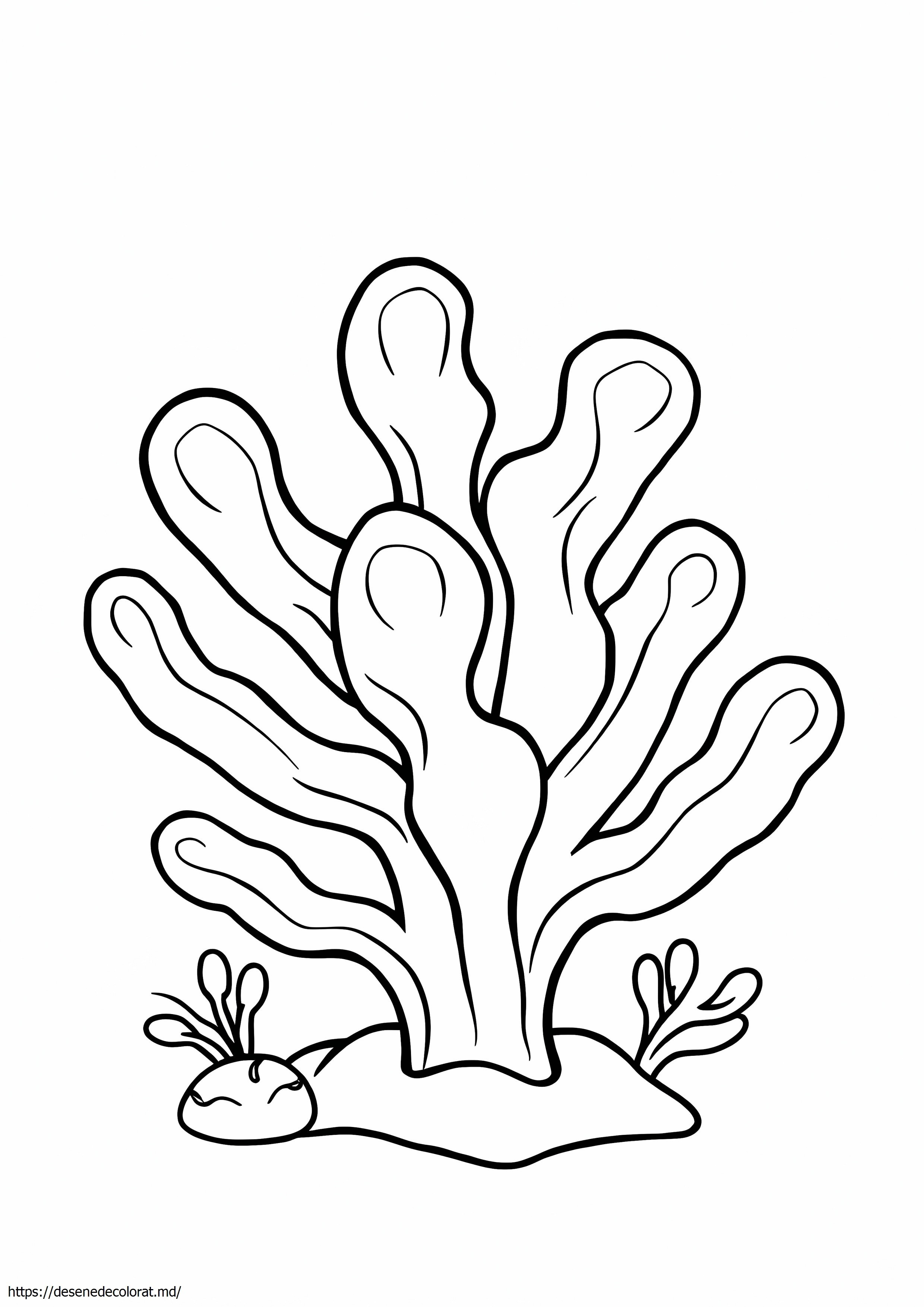 Coral ușor