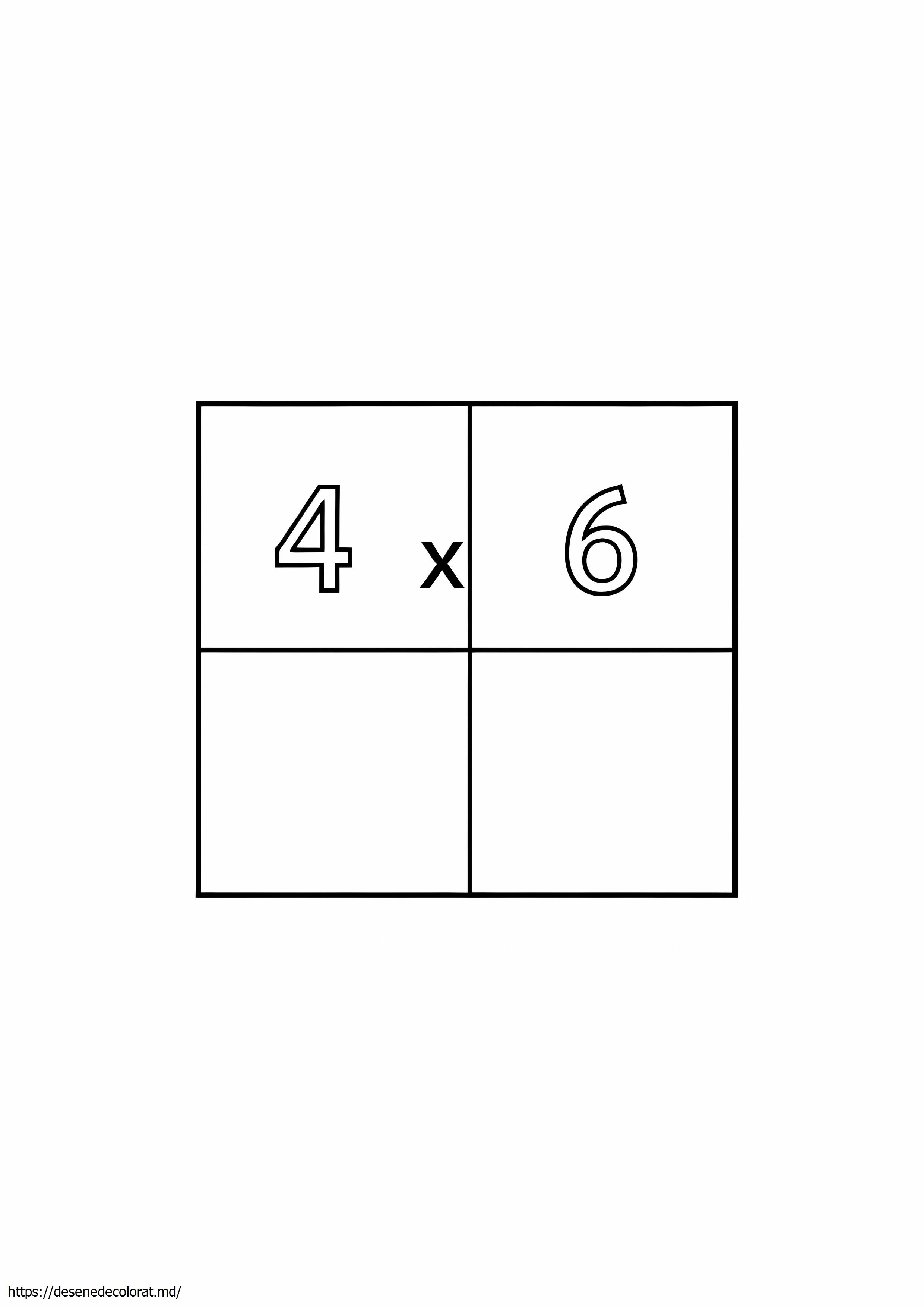 4 x 6