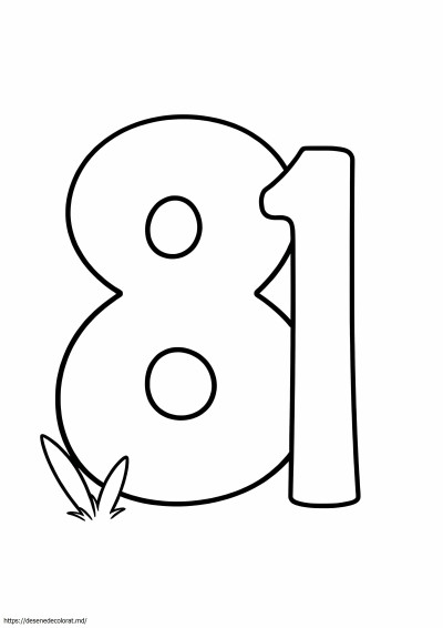 8x11