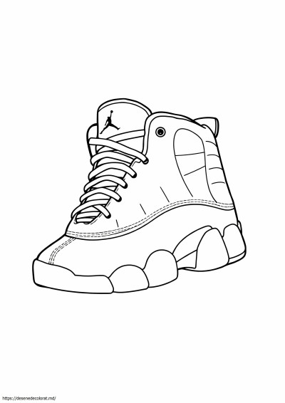 Air jordan 12