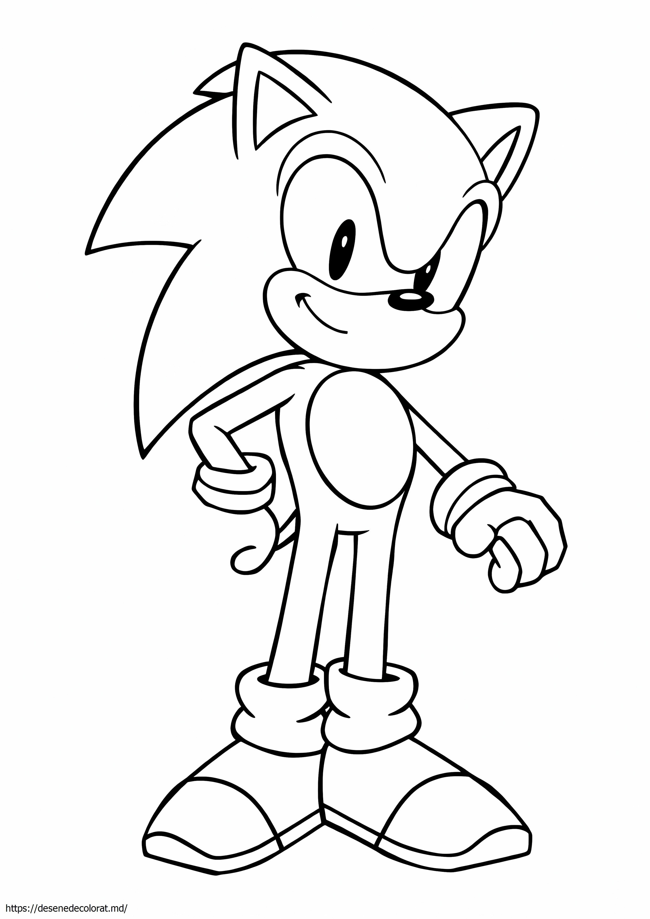 Desen sonic pentru