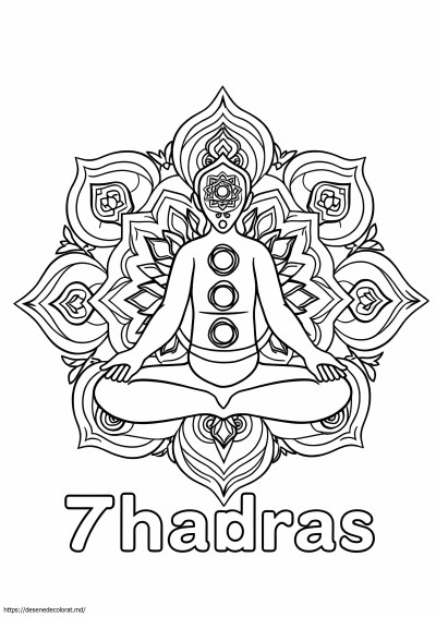 7 chakre