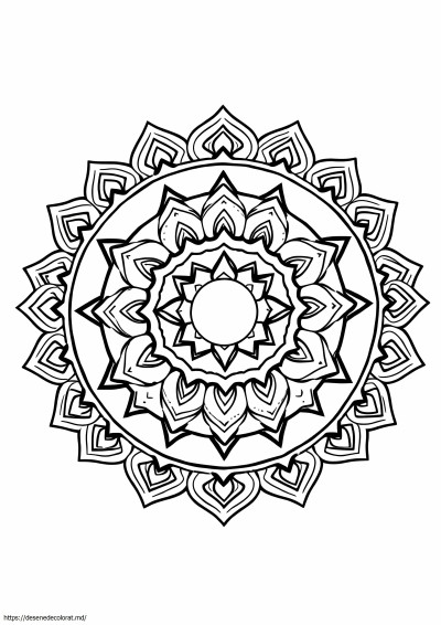 Mandala chakra