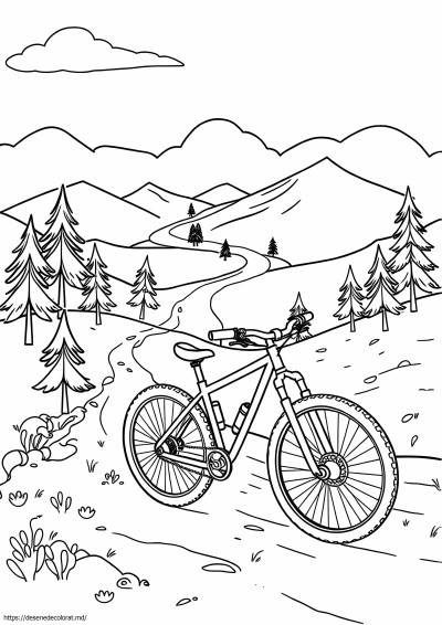 Downhill mountain bike