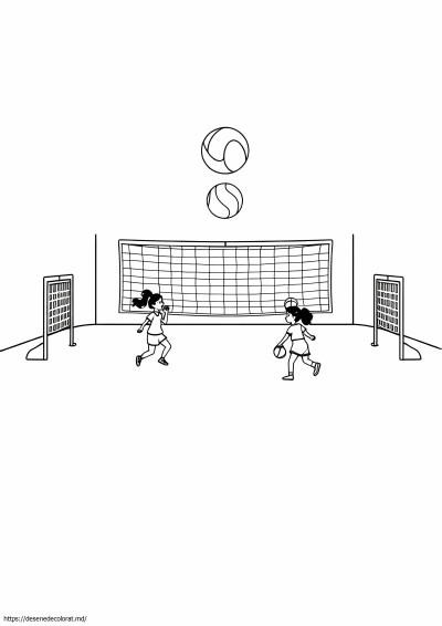 Netball