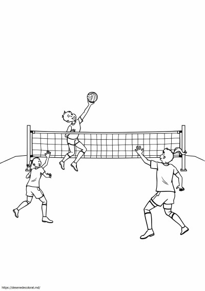 Volei