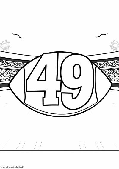 49 fotbal