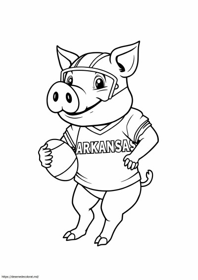Arkansas razorback