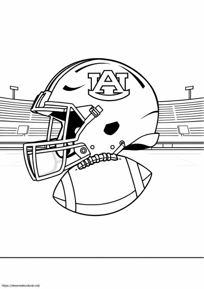 Fotbal auburn