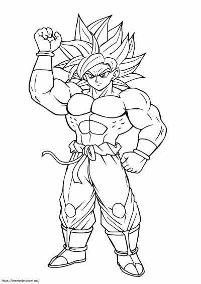 Super saiyan broly