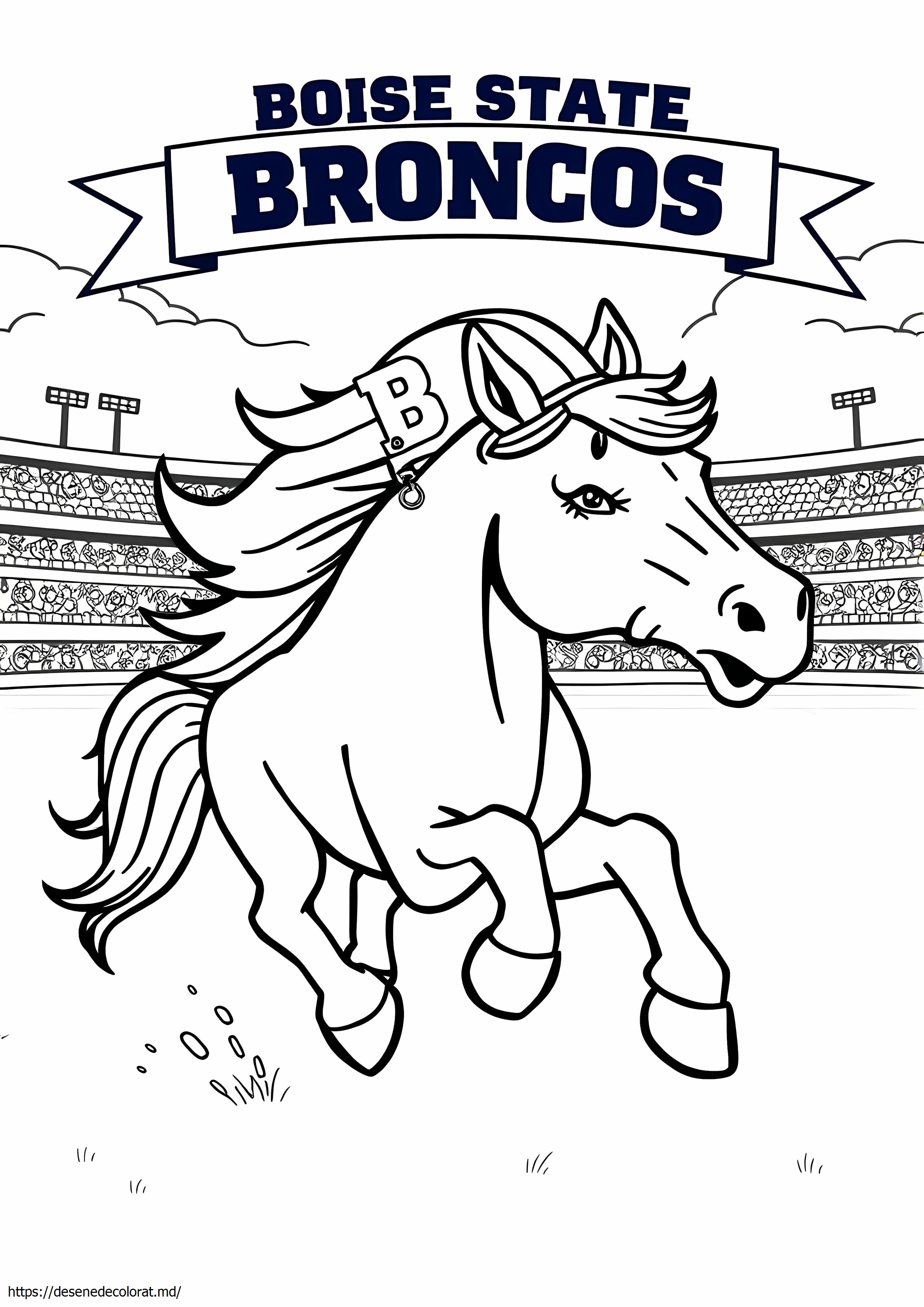 Boise state broncos