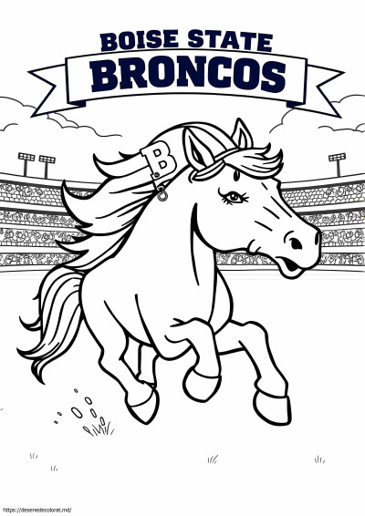 Boise state broncos