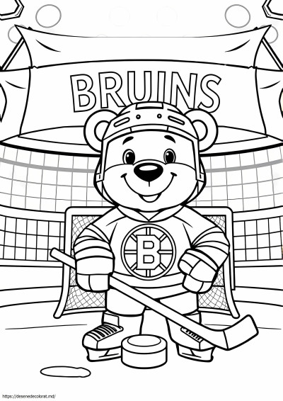 Hochei Boston Bruins
