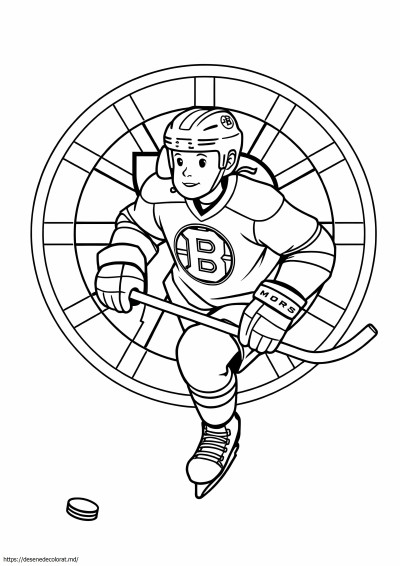 Boston bruins