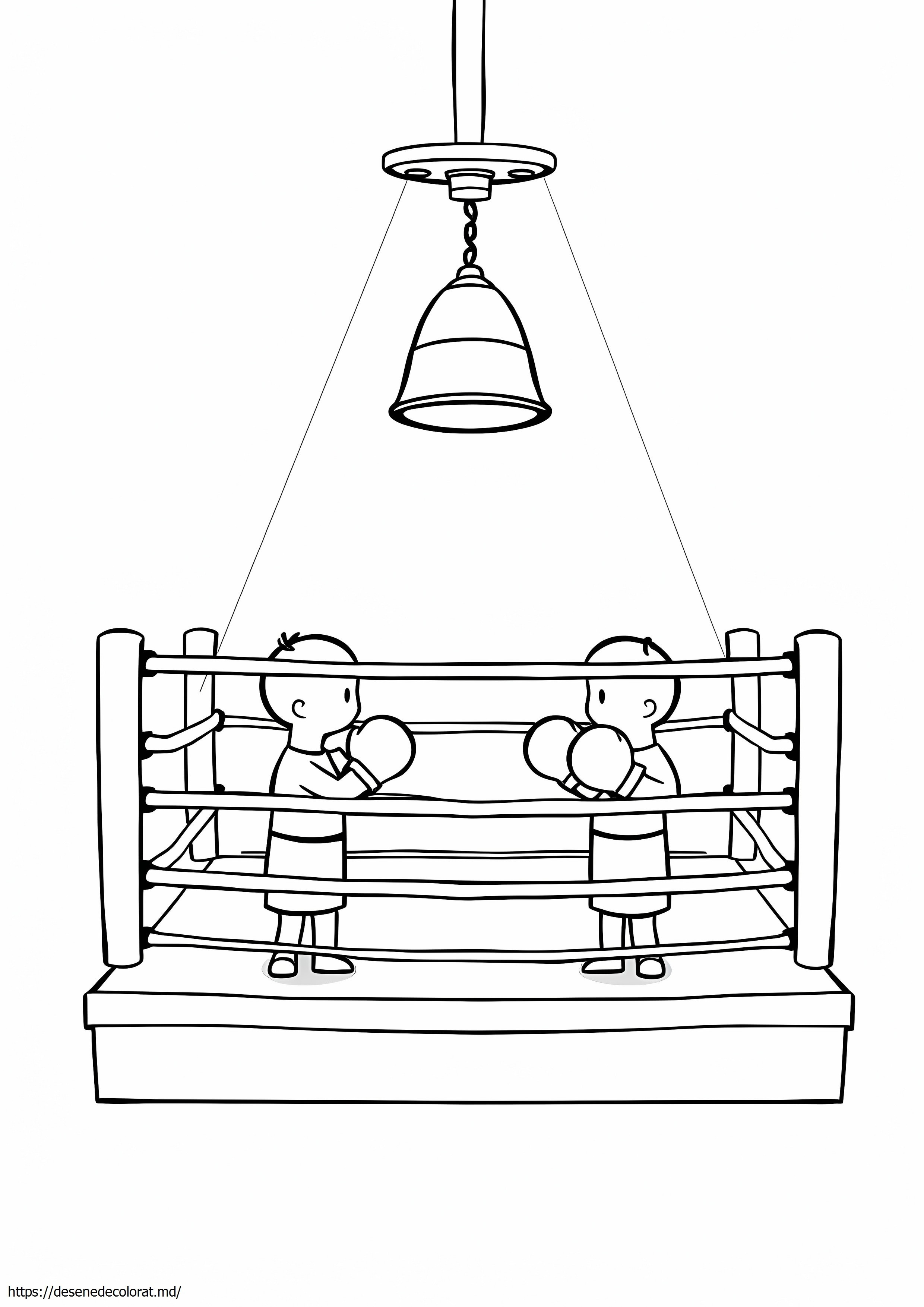 Ring de box
