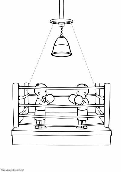 Ring de box