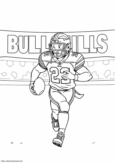 Buffalo facturi fotbal
