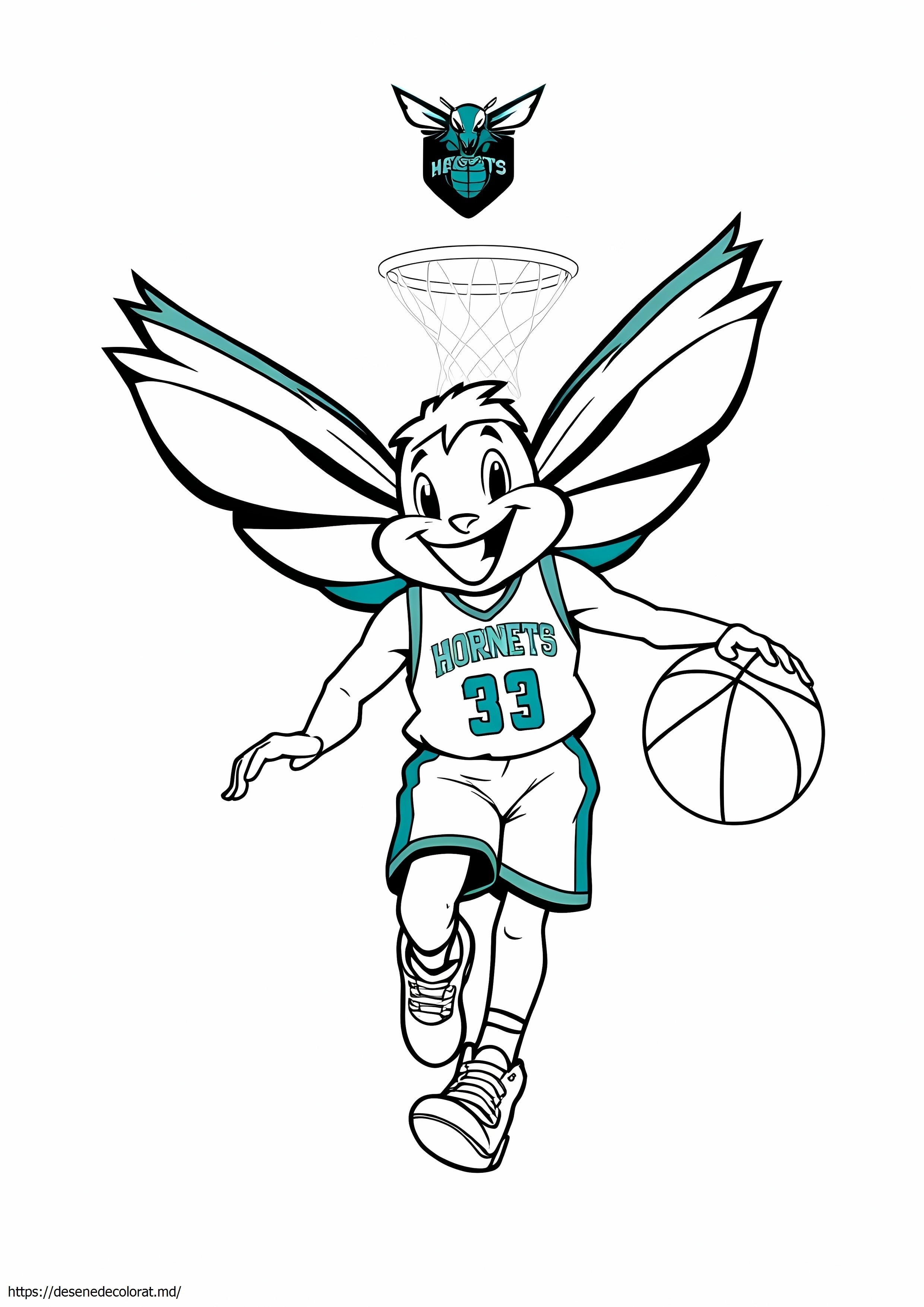 Charlotte Hornets