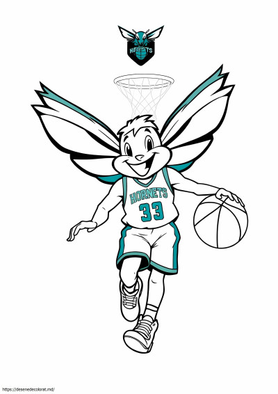 Charlotte Hornets
