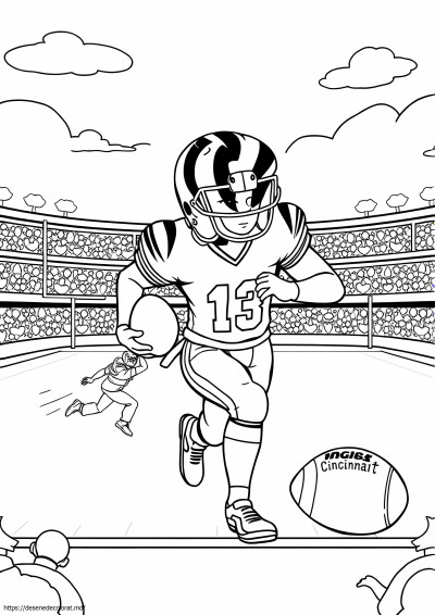 Cincinnati bengals