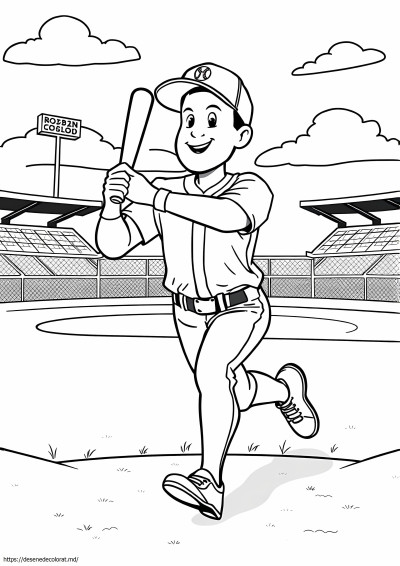 Baseball misto
