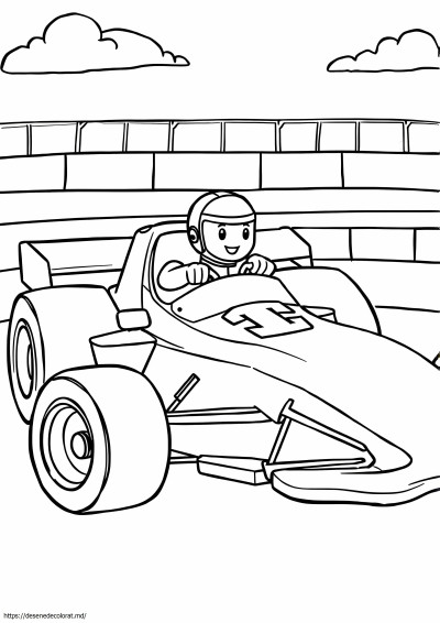 Nascar misto