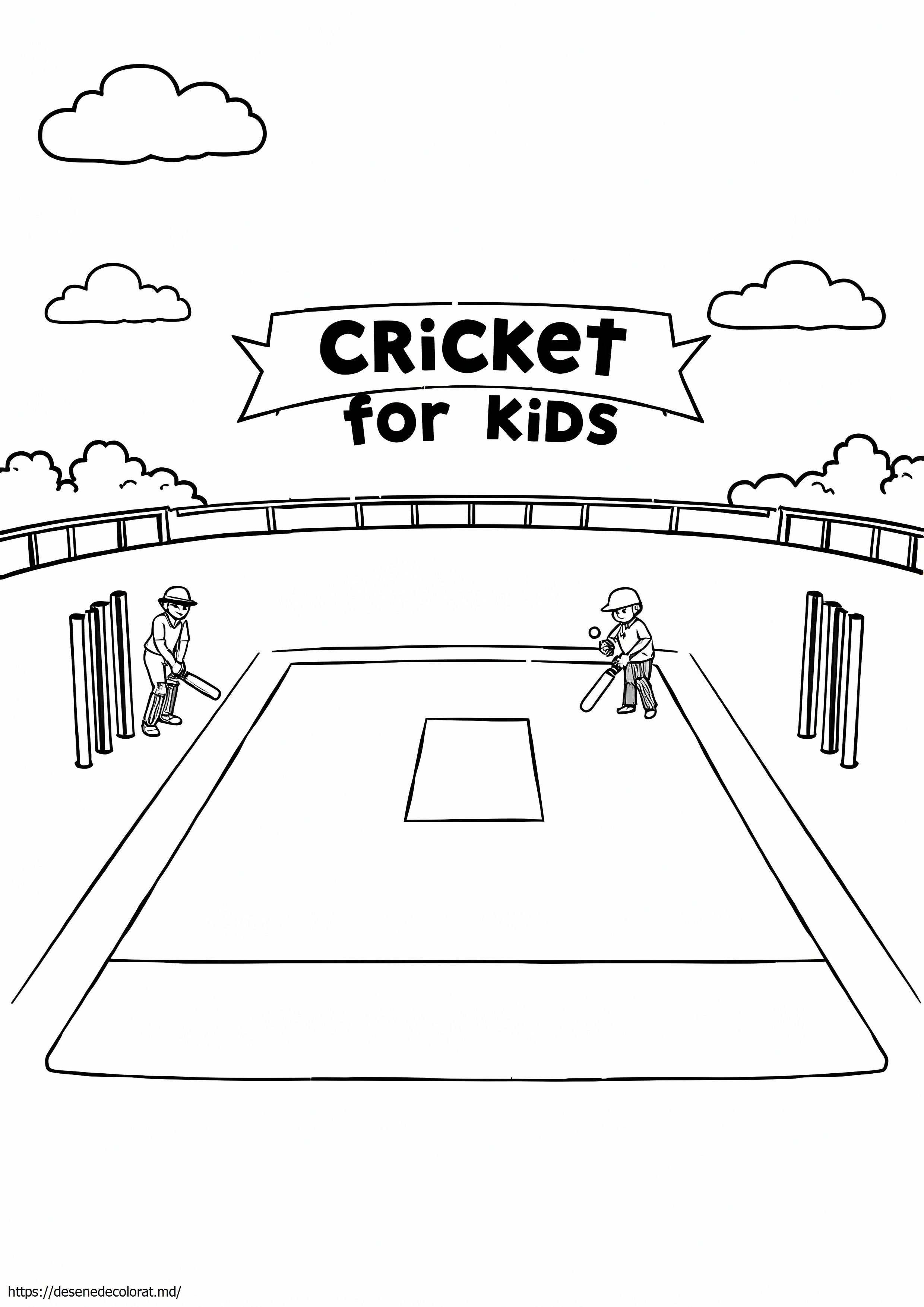 Sport de cricket