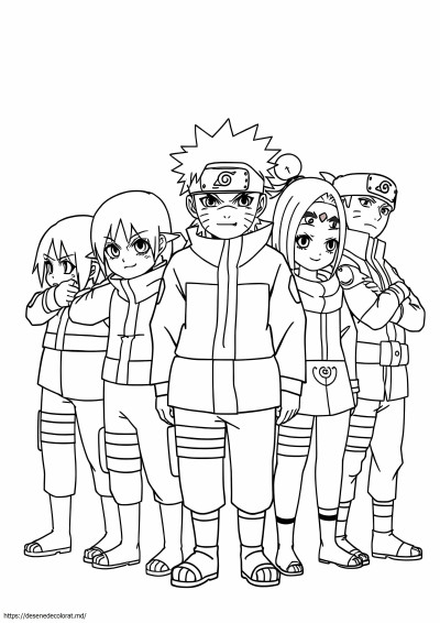 Echipa 7