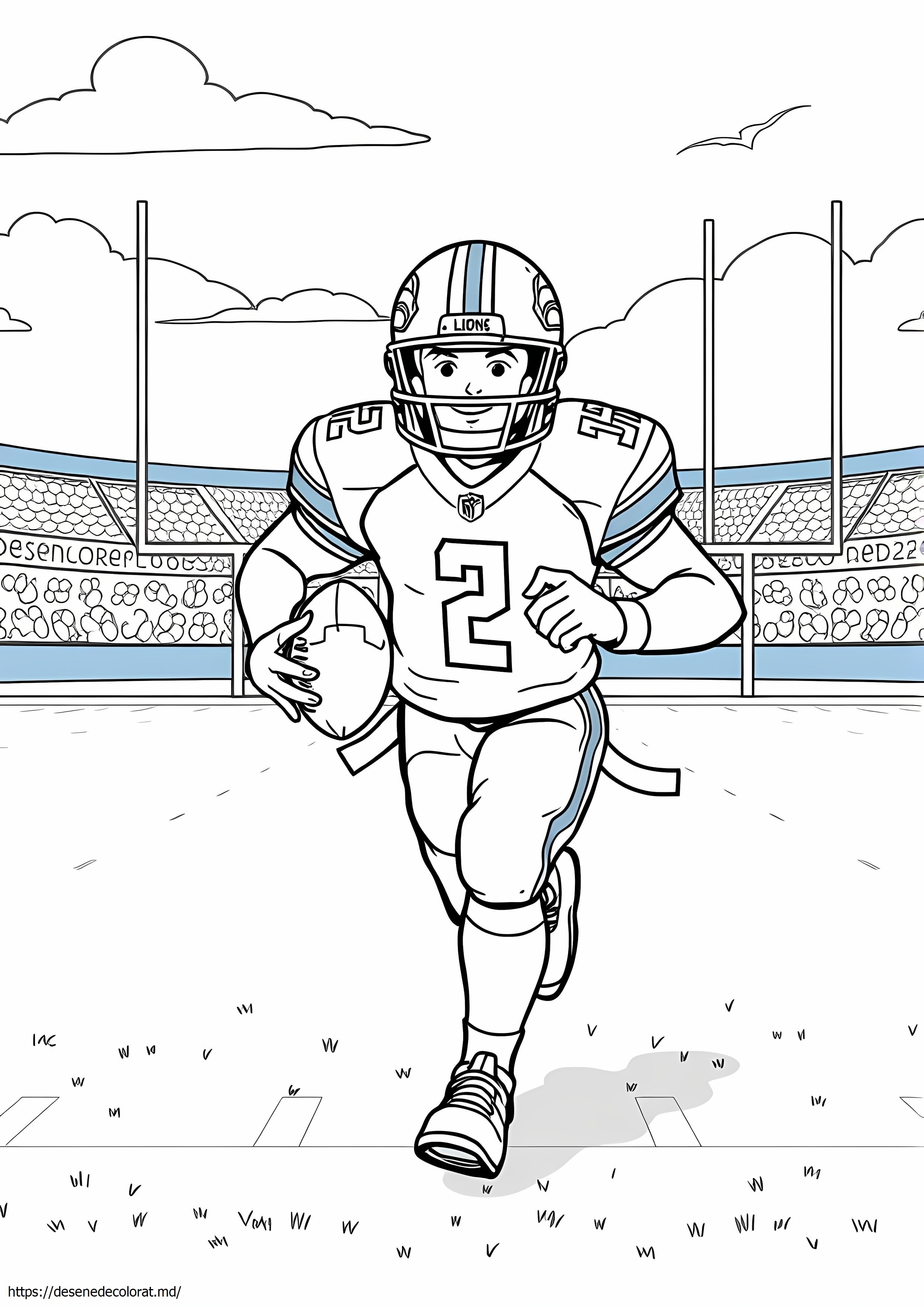 Detroit Lions fotbal