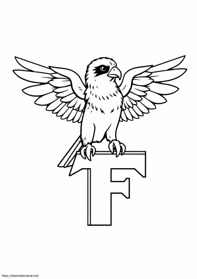 Logo-ul șoimilor