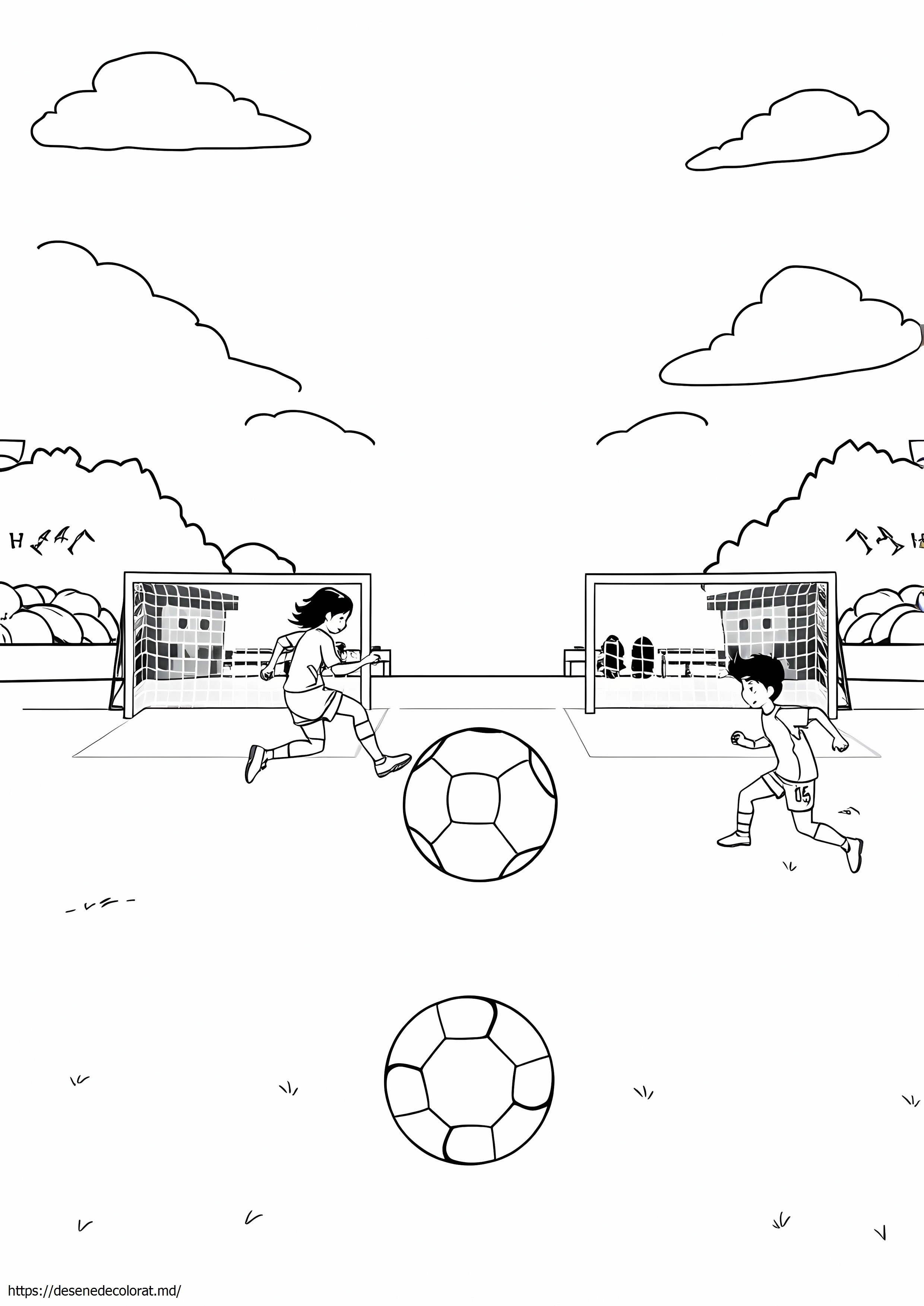 Fotbal