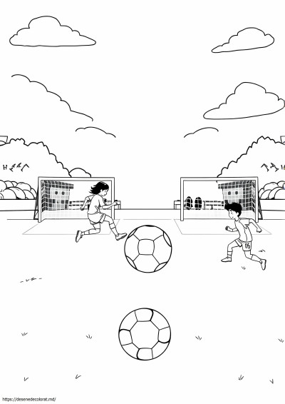 Fotbal