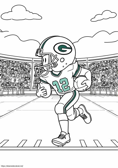 Fotbal green bay packers