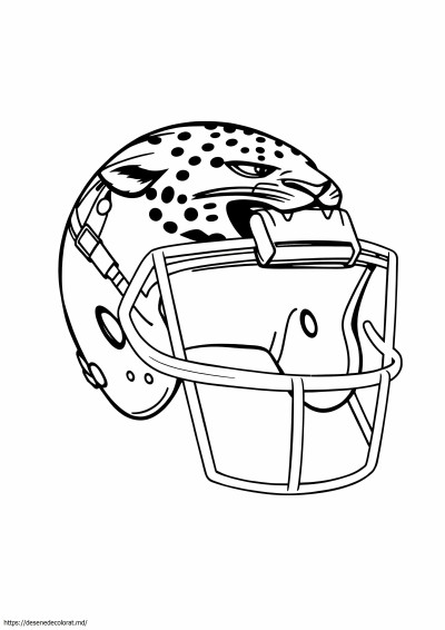 Casca jaguars jacksonville