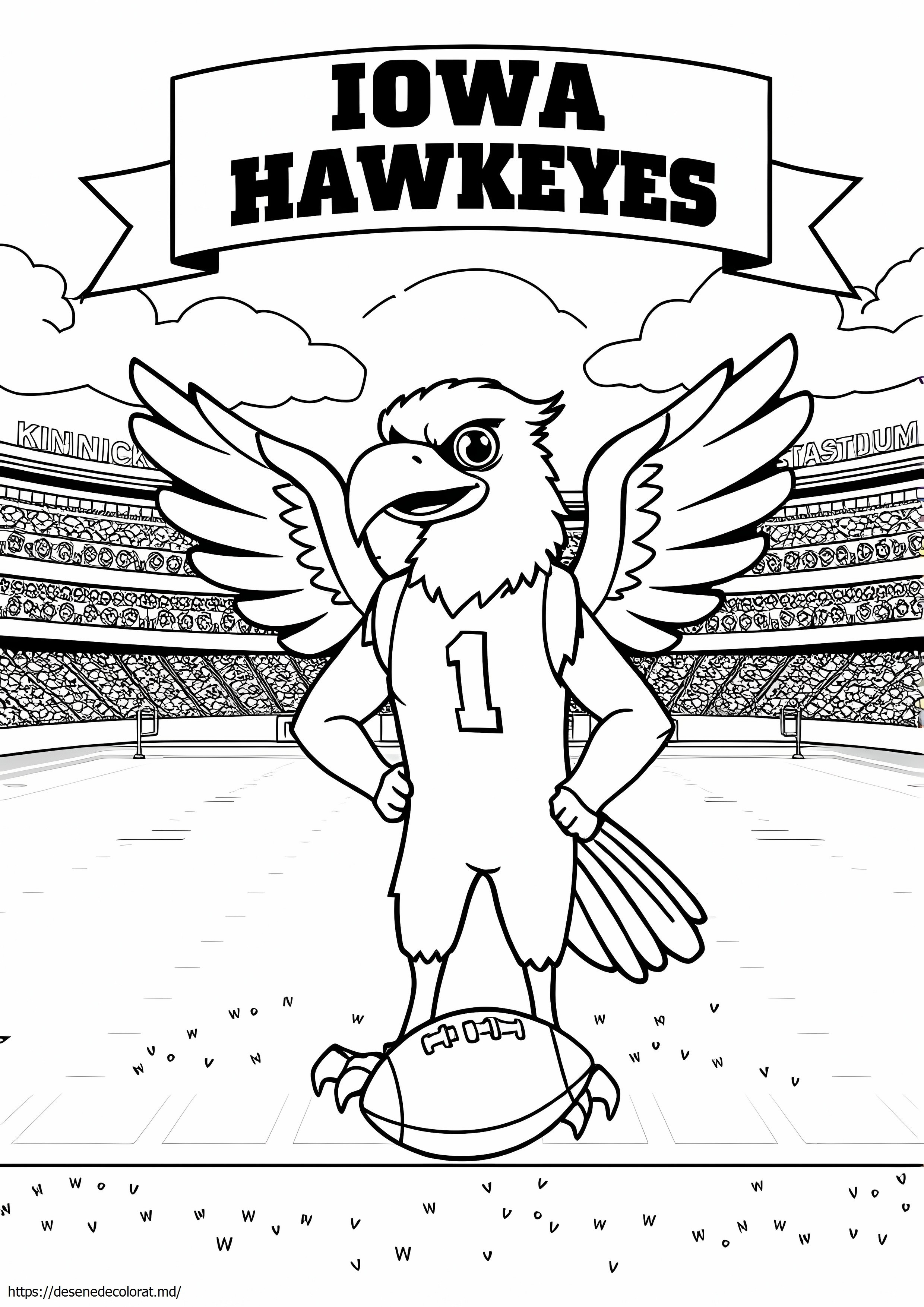 Iowa Hawkeye
