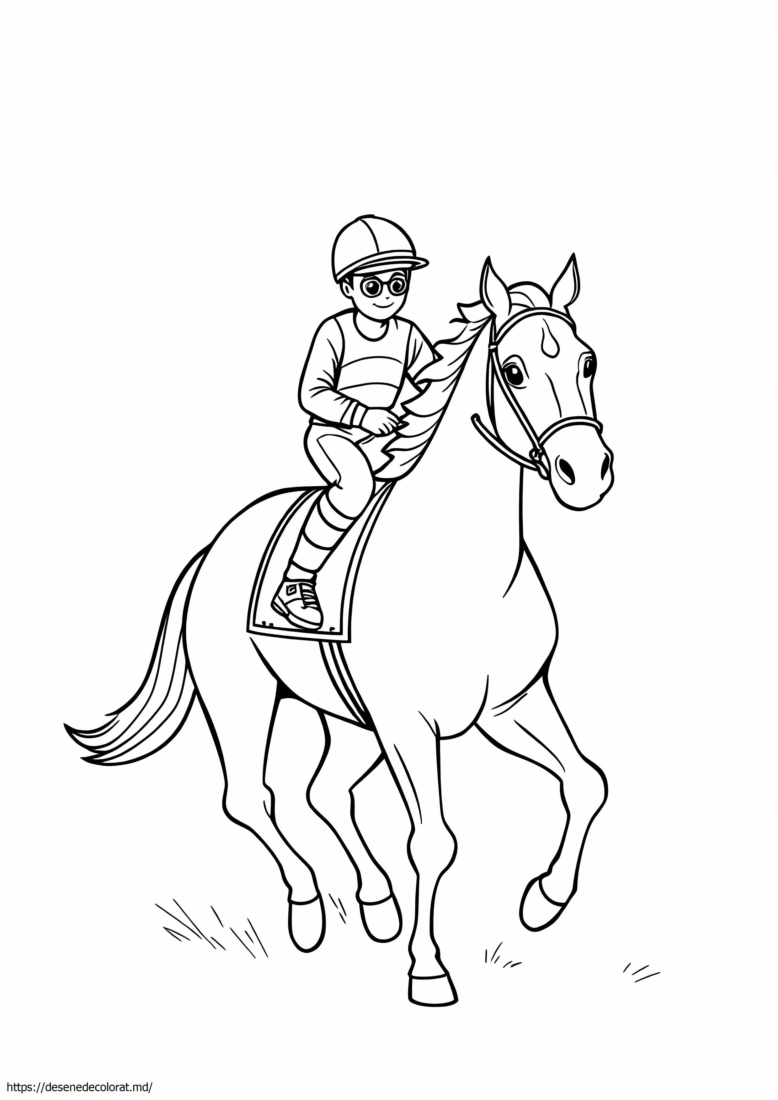 Mătăsuri jockey
