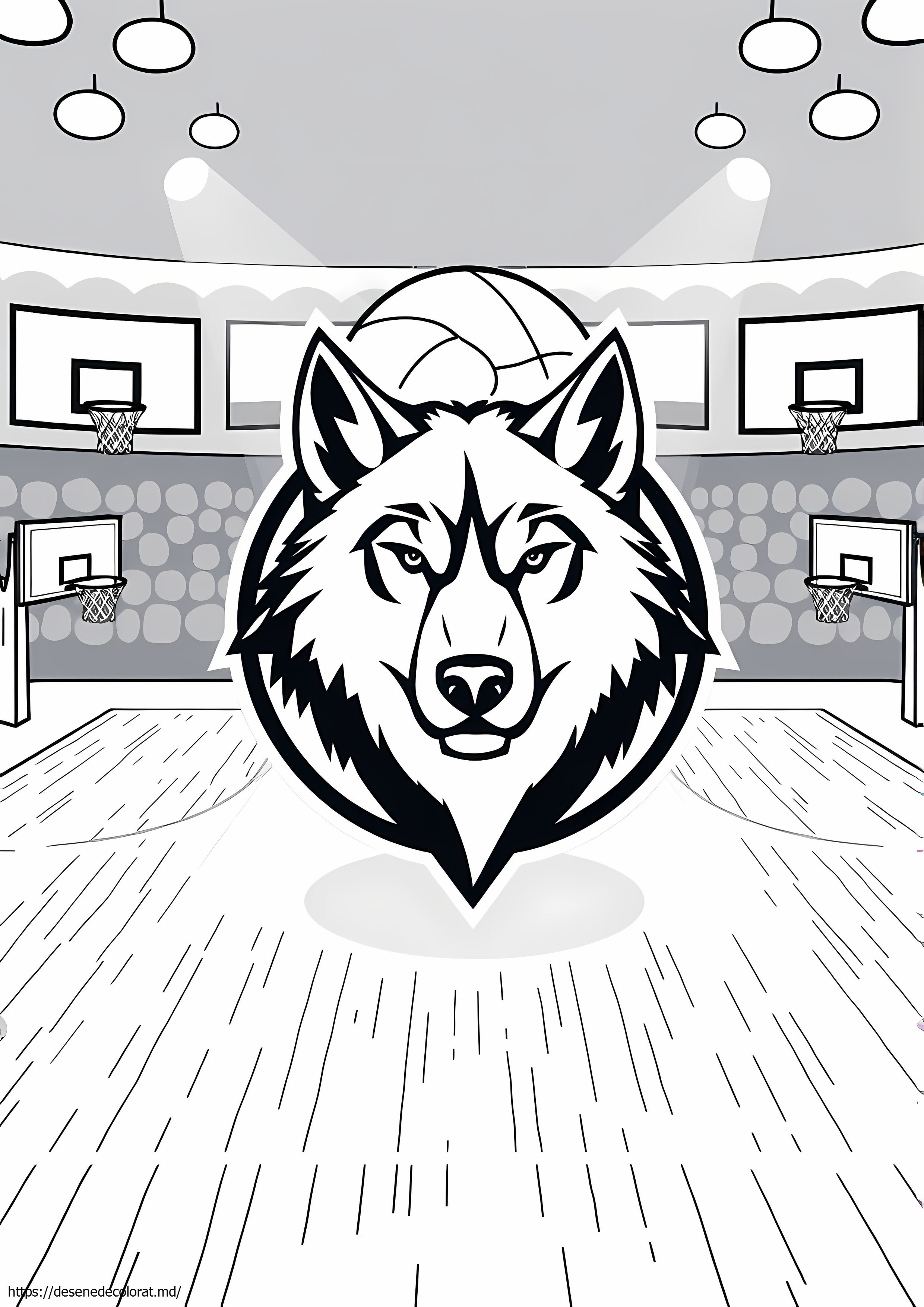 Minnesota timberwolves