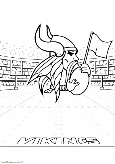 Fotbal vikingii din Minnesota