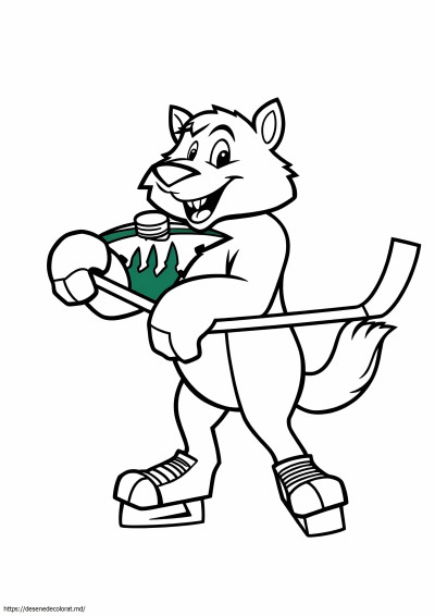 Sigla din Minnesota Wild