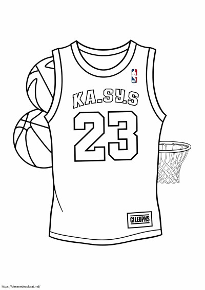 Tricoul nba