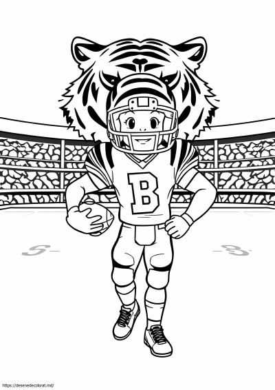 Nfl bengale