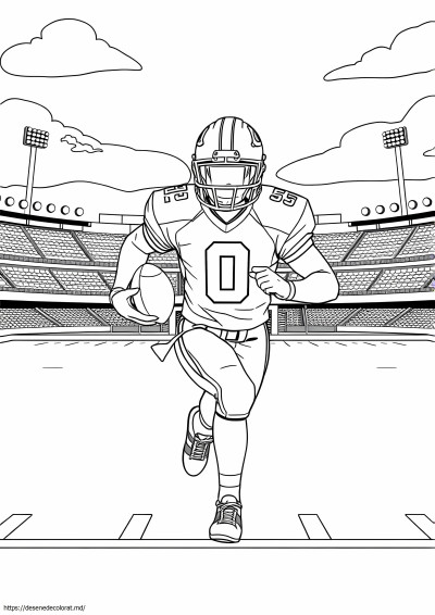 Echipa de fotbal nfl
